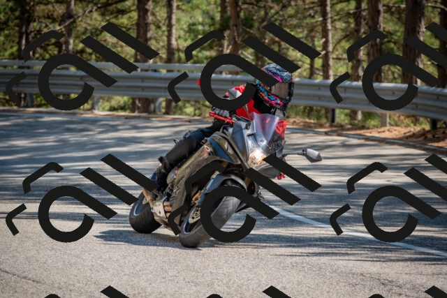 202508091538-DSC_3911_c4_