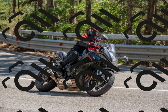 202508091538-DSC_3912_c4_