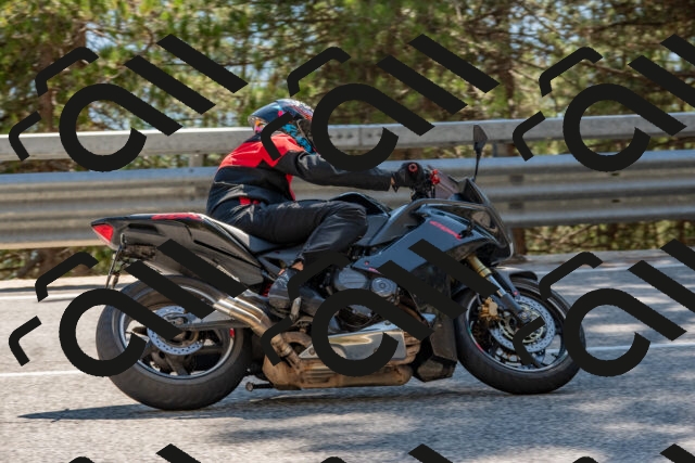 202508091538-DSC_3913_c4_