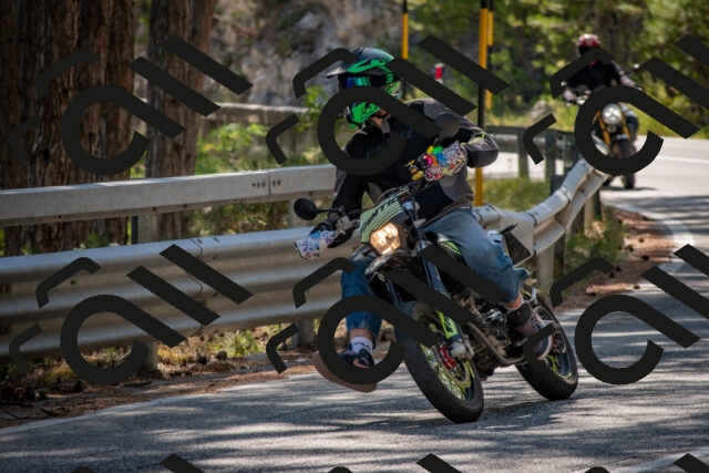 202508091538-DSC_3915_c4_