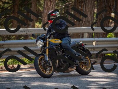 202508091538-DSC_3919_c4_