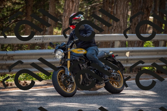 202508091538-DSC_3919_c4_