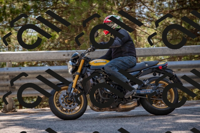 202508091538-DSC_3920_c4_