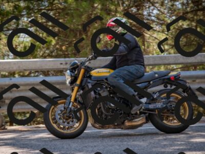 202508091538-DSC_3920_c4_