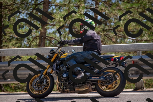 202508091538-DSC_3921_c4_