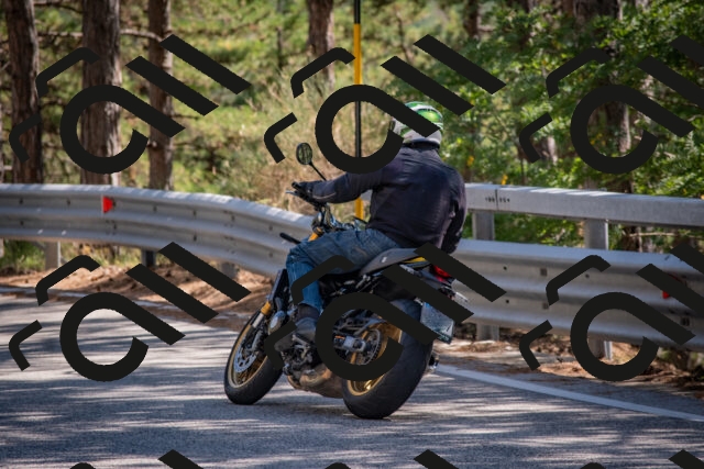 202508091538-DSC_3922_c4_