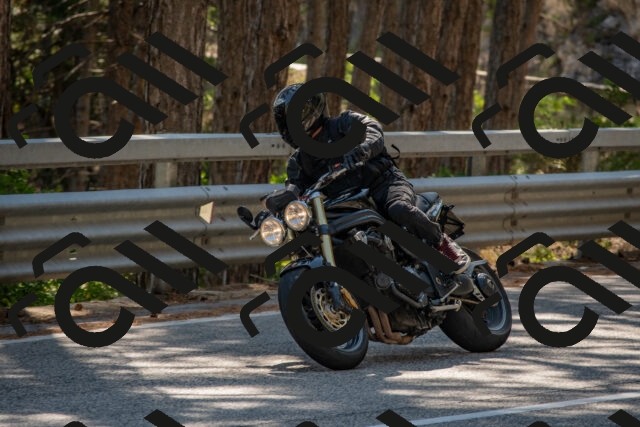 202508091540-DSC_3923_c4_