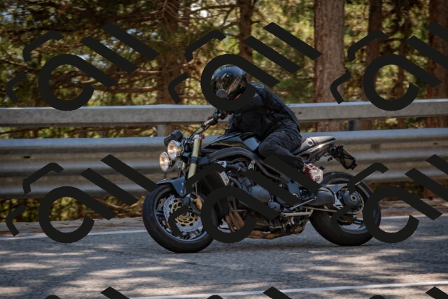 202508091540-DSC_3924_c4_