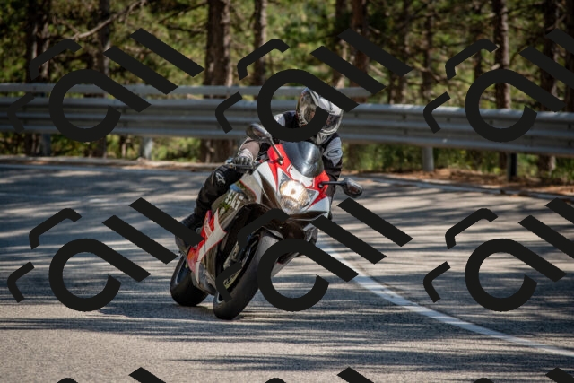 202508091540-DSC_3929_c4_