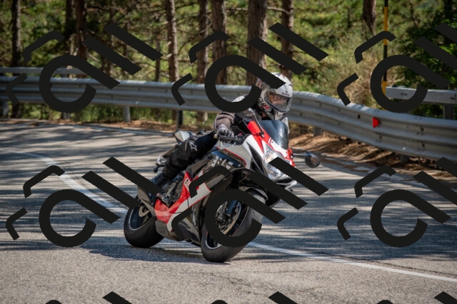 202508091540-DSC_3930_c4_