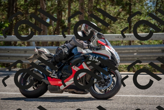 202508091540-DSC_3931_c4_