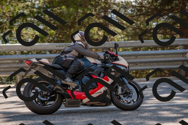 202508091540-DSC_3932_c4_