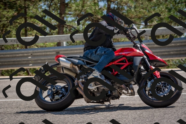 202508091543-DSC_3941_c4_