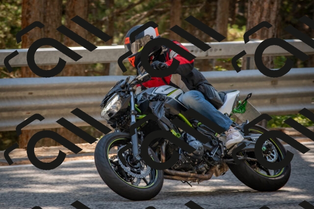 202508091545-DSC_3946_c4_