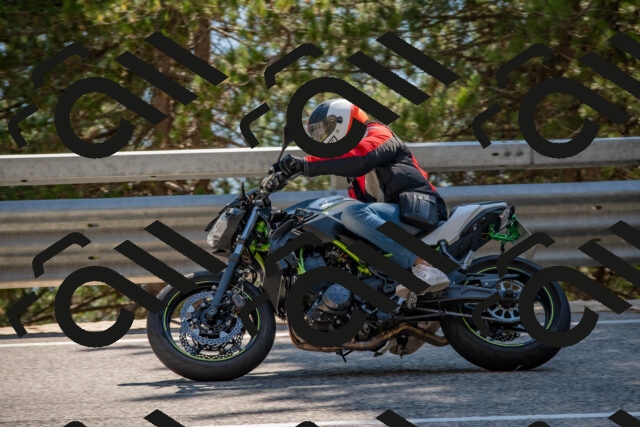 202508091545-DSC_3947_c4_