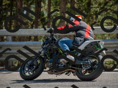 202508091545-DSC_3948_c4_