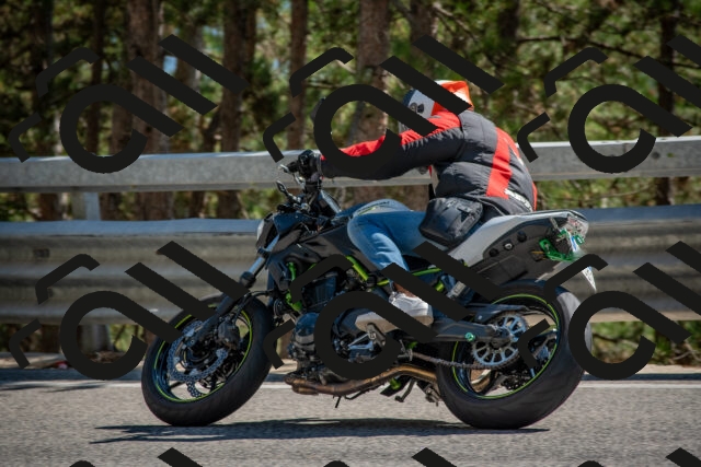 202508091545-DSC_3948_c4_