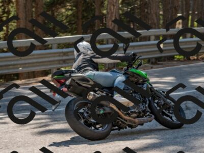 202508091545-DSC_3952_c4_