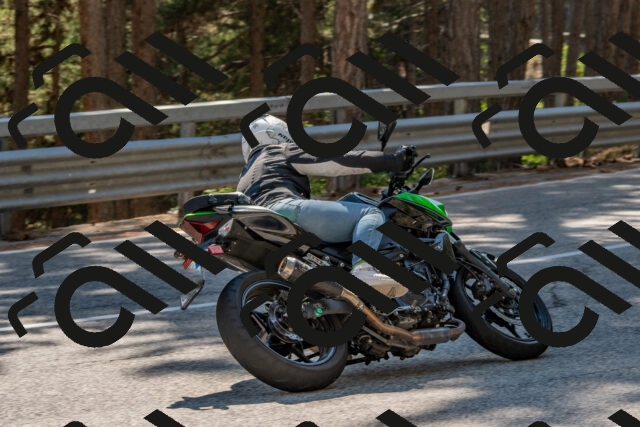 202508091545-DSC_3952_c4_