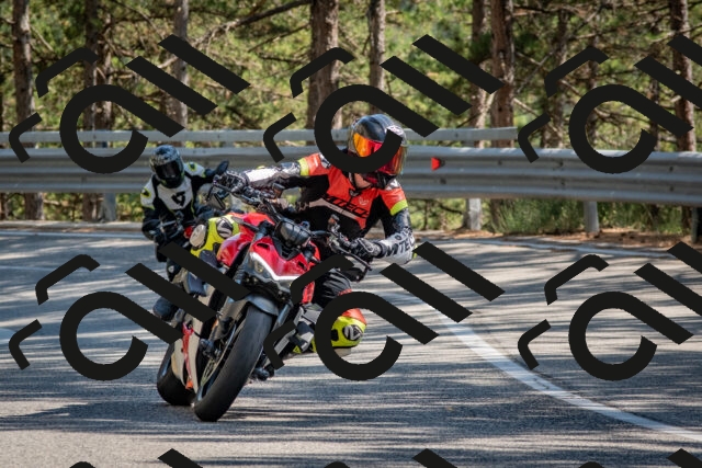 202508091546-DSC_3954_c4_