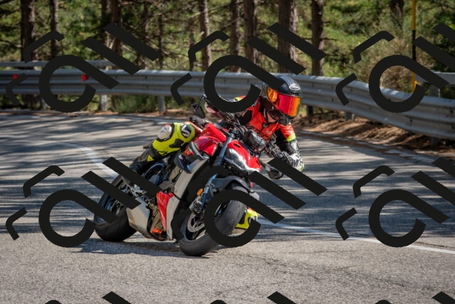 202508091547-DSC_3955_c4_