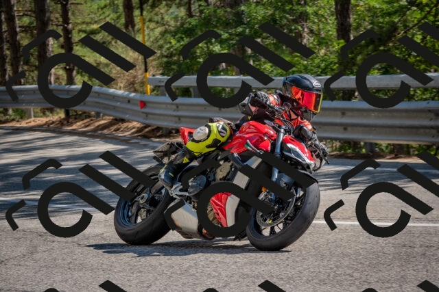 202508091547-DSC_3956_c4_