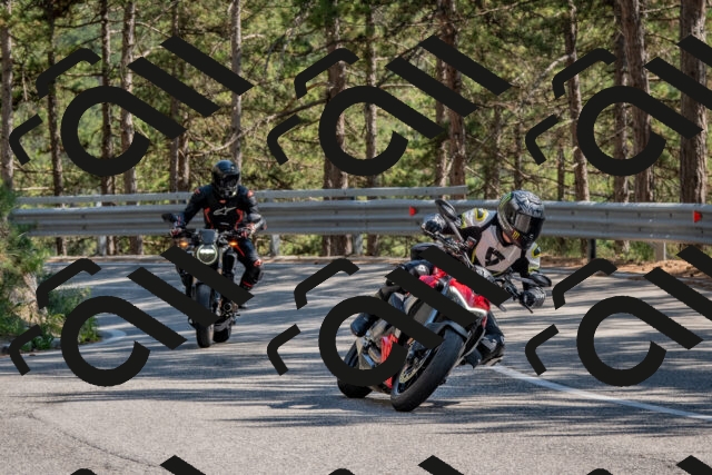 202508091547-DSC_3957_c4_