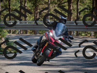 202508091548-DSC_3963_c4_