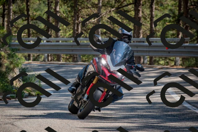 202508091548-DSC_3963_c4_