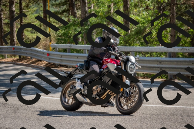 202508091548-DSC_3967_c4_