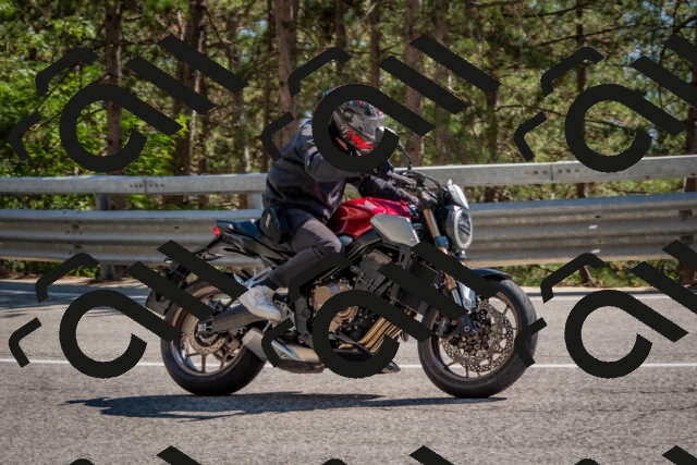 202508091548-DSC_3968_c4_