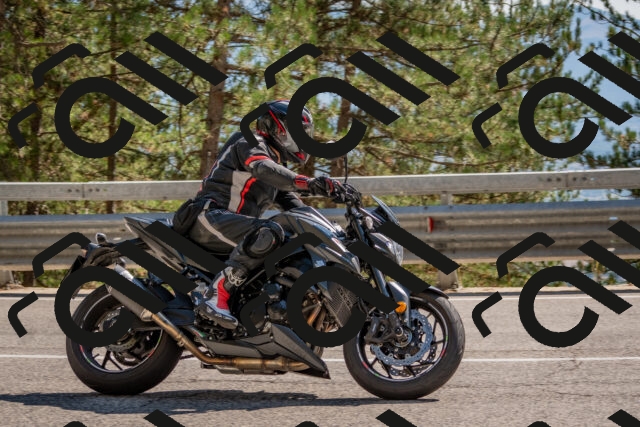 202508091548-DSC_3972_c4_