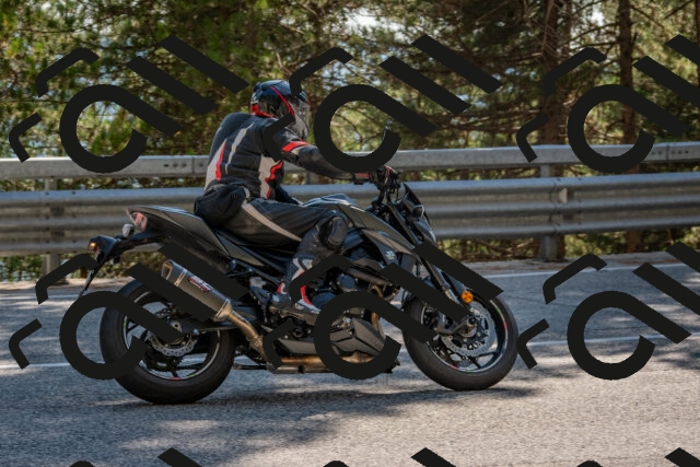 202508091548-DSC_3973_c4_