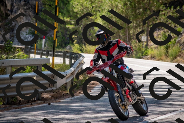 202508091550-DSC_3974_c4_