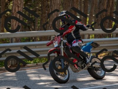 202508091550-DSC_3975_c4_