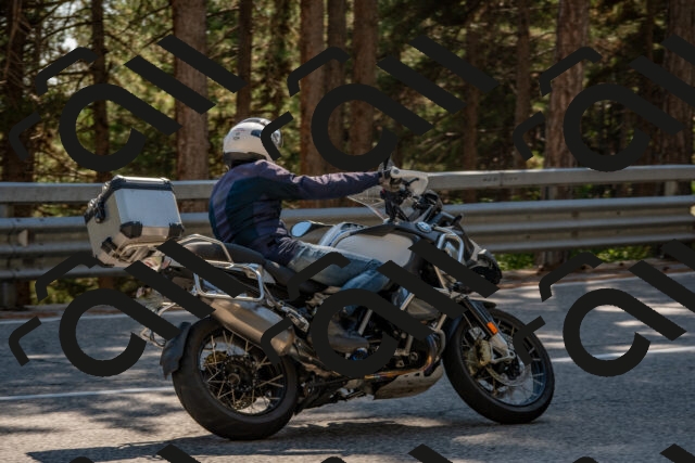 202508091551-DSC_3981_c4_