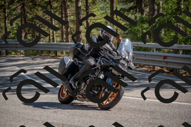 202508091552-DSC_3982_c4_