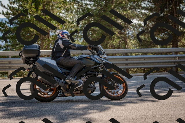 202508091552-DSC_3984_c4_