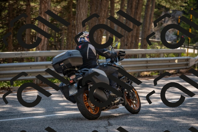 202508091552-DSC_3985_c4_