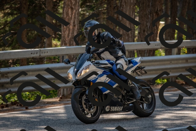 202508091553-DSC_3986_c4_