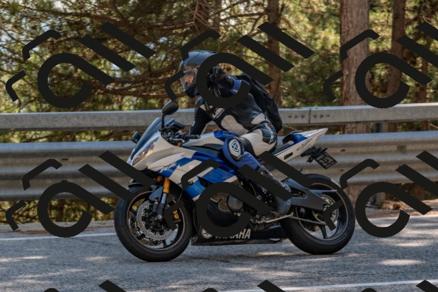 202508091553-DSC_3987_c4_