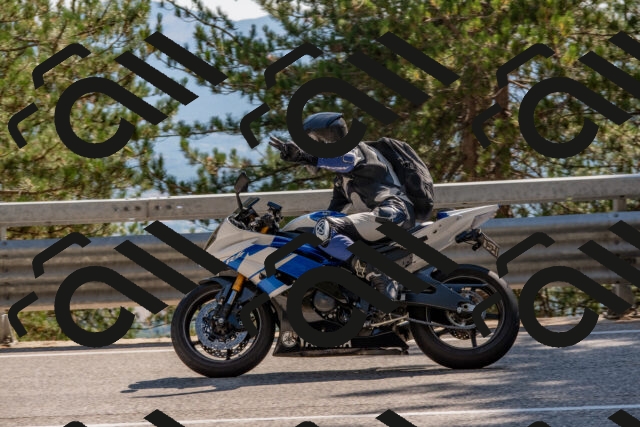 202508091553-DSC_3988_c4_