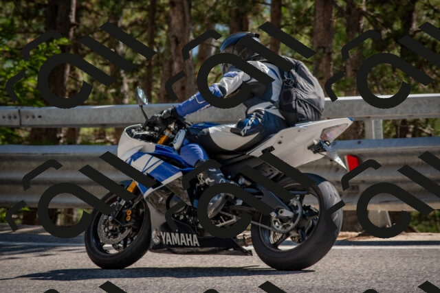 202508091553-DSC_3989_c4_