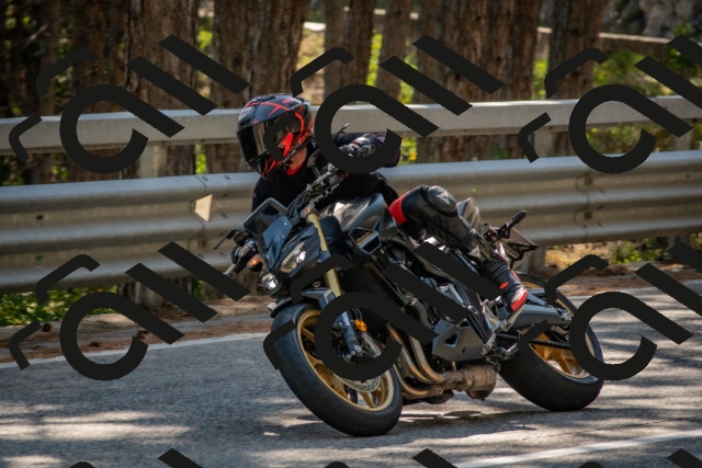 202508091554-DSC_3990_c4_