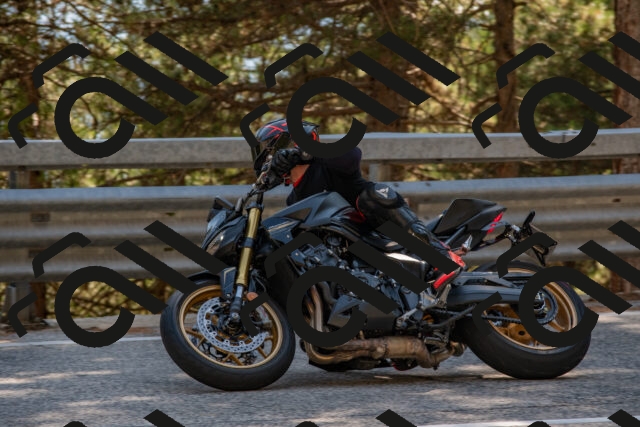 202508091554-DSC_3991_c4_