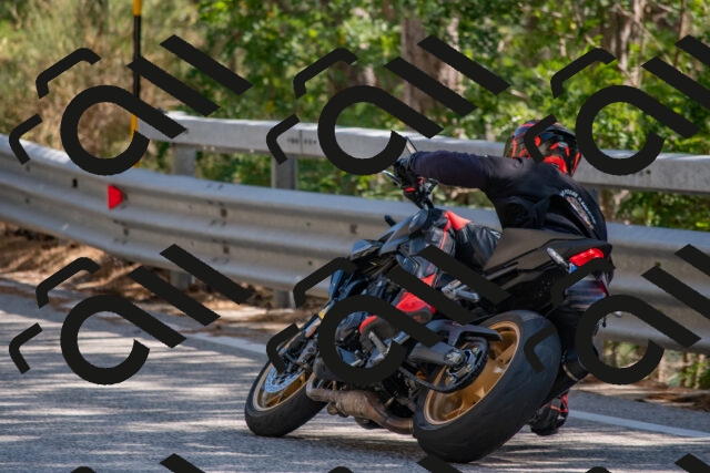 202508091554-DSC_3993_c4_