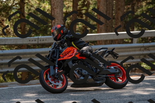 202508091554-DSC_3995_c4_