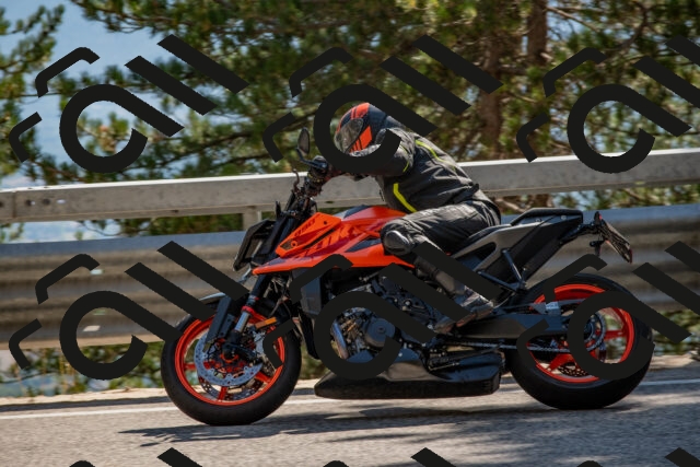 202508091554-DSC_3996_c4_