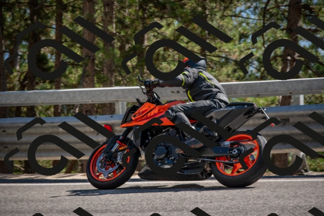 202508091554-DSC_3997_c4_