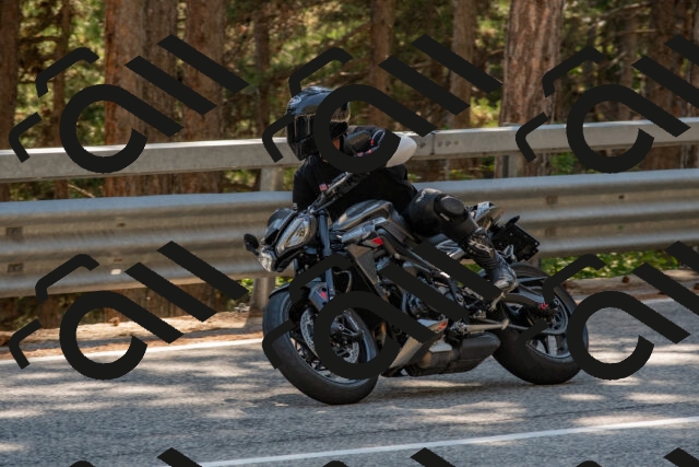 202508091554-DSC_3998_c4_